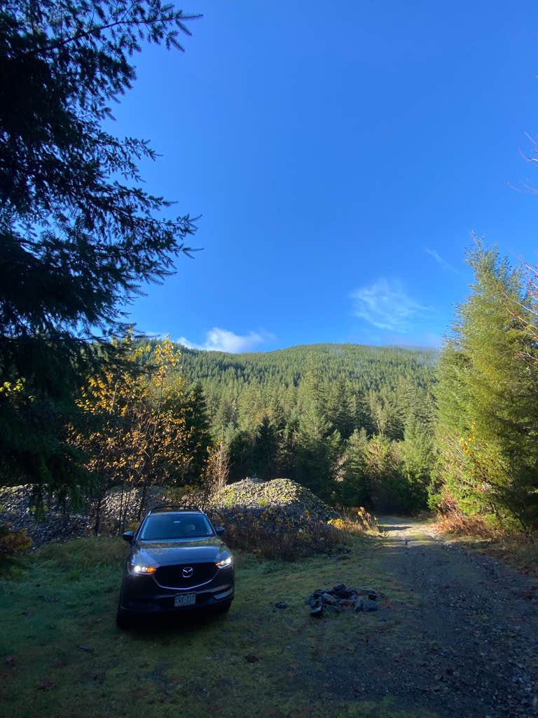 Camper submitted image from NF Dispersed Camping - 3