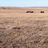 Review photo of Sage Creek Campground by Blake V., November 18, 2021