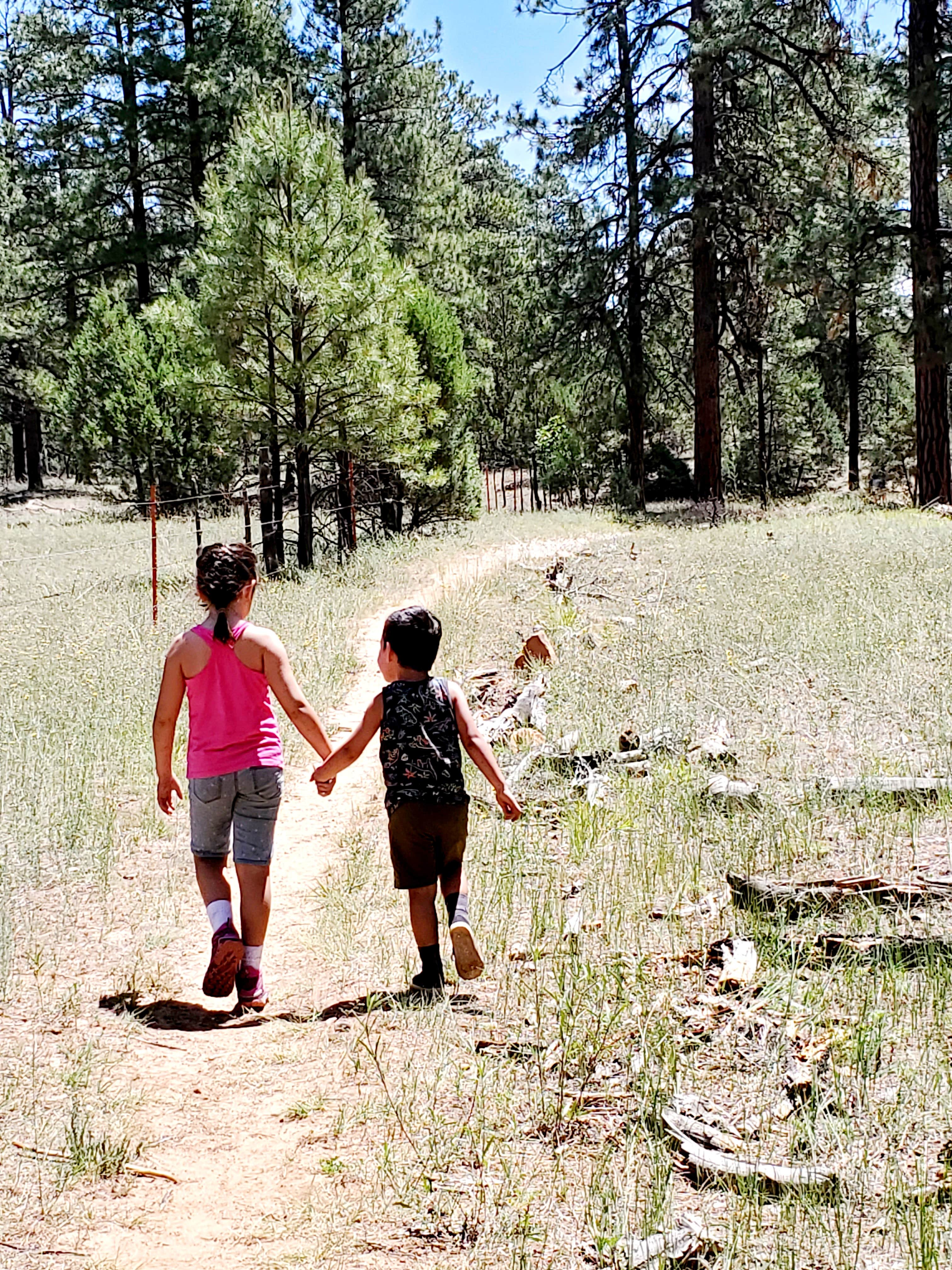 Camper-submitted photo at AJ's Getaway RV Park near Clay Springs, AZ