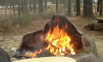 Pinewood Lodge Campground