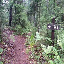 Sparrow Rapids Campground