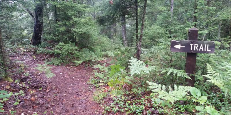 Camper submitted image from Sparrow Rapids Campground