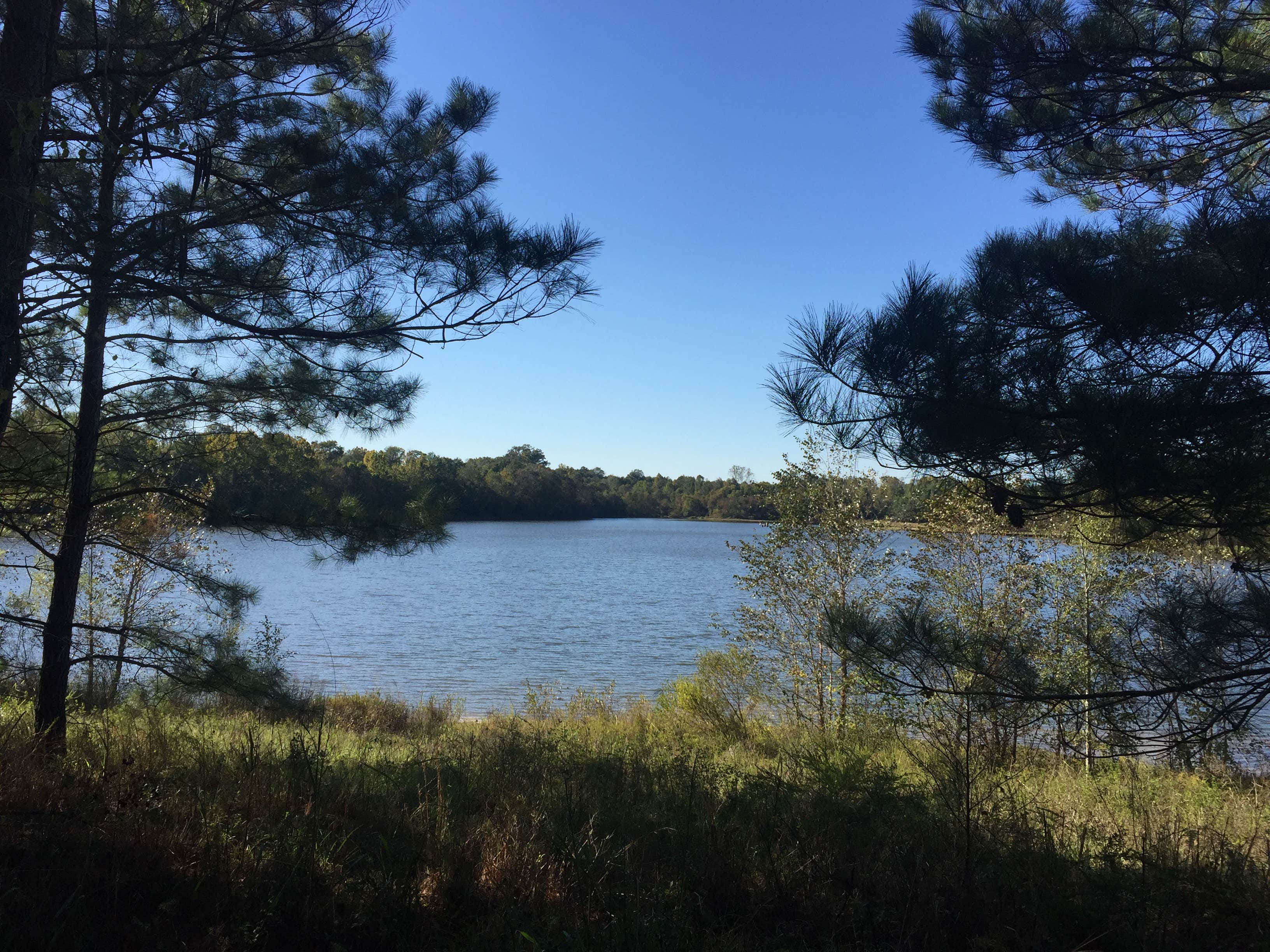 Camper-submitted photo at Camp David RV Resort near Fortson, GA