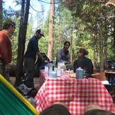 Review photo of Hodgdon Meadow Campground — Yosemite National Park by DEREK B., June 9, 2015