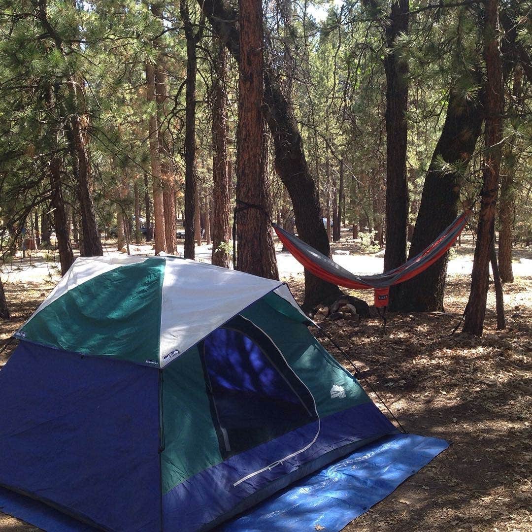 Jennifer D.'s photo at San Gorgonio Campground near San Bernardino National Forest