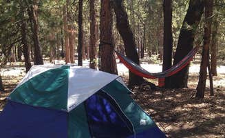 Jennifer D.'s photo at San Gorgonio Campground near Big Bear City, CA