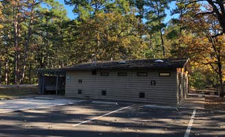 Napunani's photo of a cabin at Tyler State Park Campground near Lindale, TX