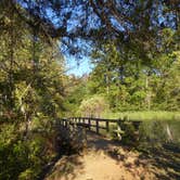 Review photo of Tyler State Park Campground by Napunani , November 18, 2021