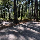 Review photo of Cagle Recreation Area by Napunani , November 18, 2021