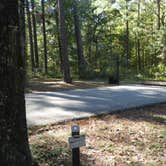 Review photo of Cagle Recreation Area by Napunani , November 18, 2021