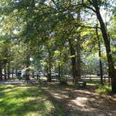 Review photo of Cagle Recreation Area by Napunani , November 18, 2021