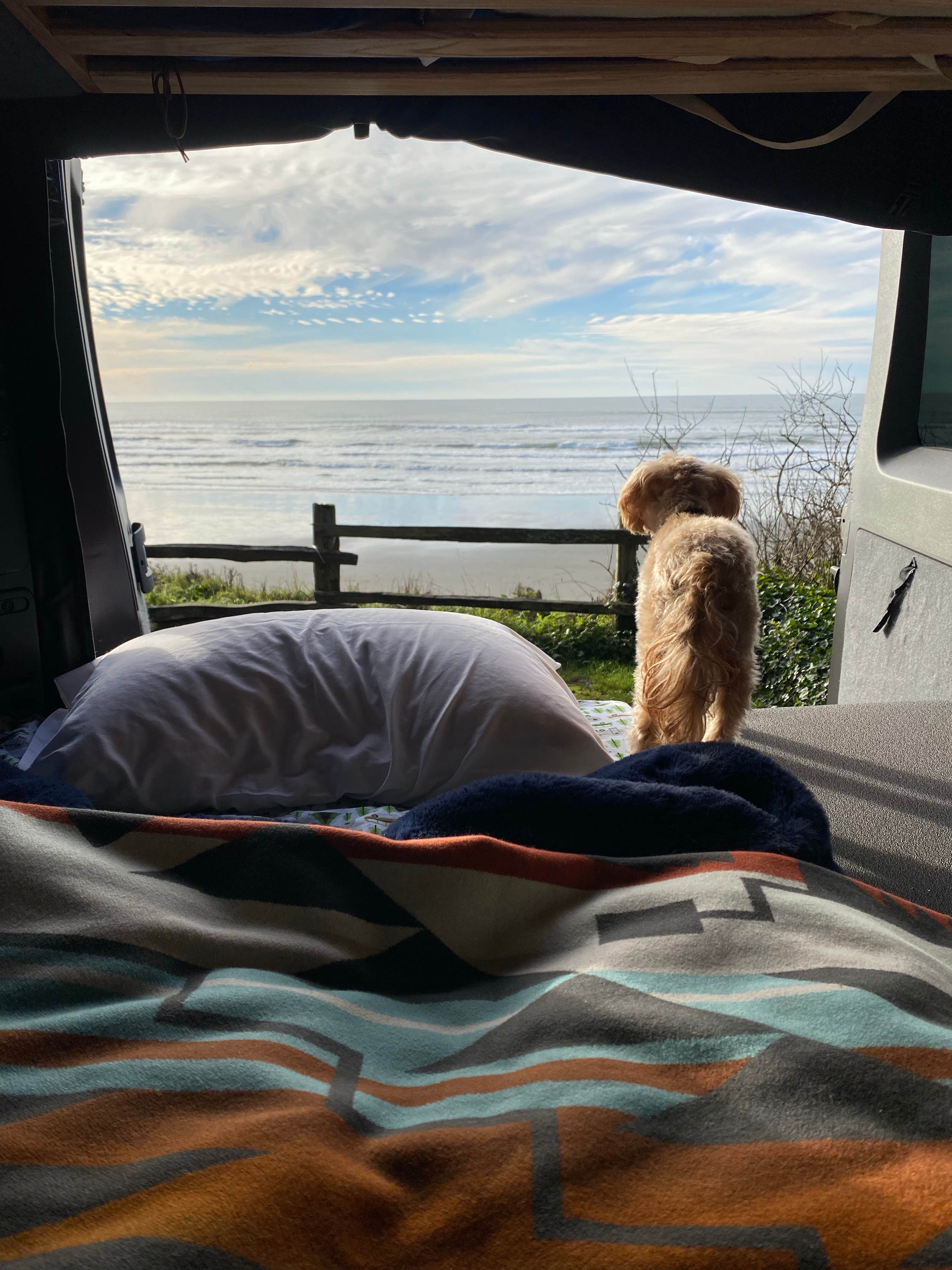 Alison S.'s photo of glamping accommodations at Kalaloch Campground - group — Olympic National Park near Sekiu, WA