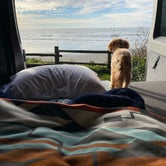 Review photo of Kalaloch Campground - group — Olympic National Park by Alison S., November 19, 2021