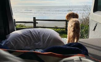 Alison S.'s photo of glamping accommodations at Kalaloch Campground - group — Olympic National Park near Olympic National Park
