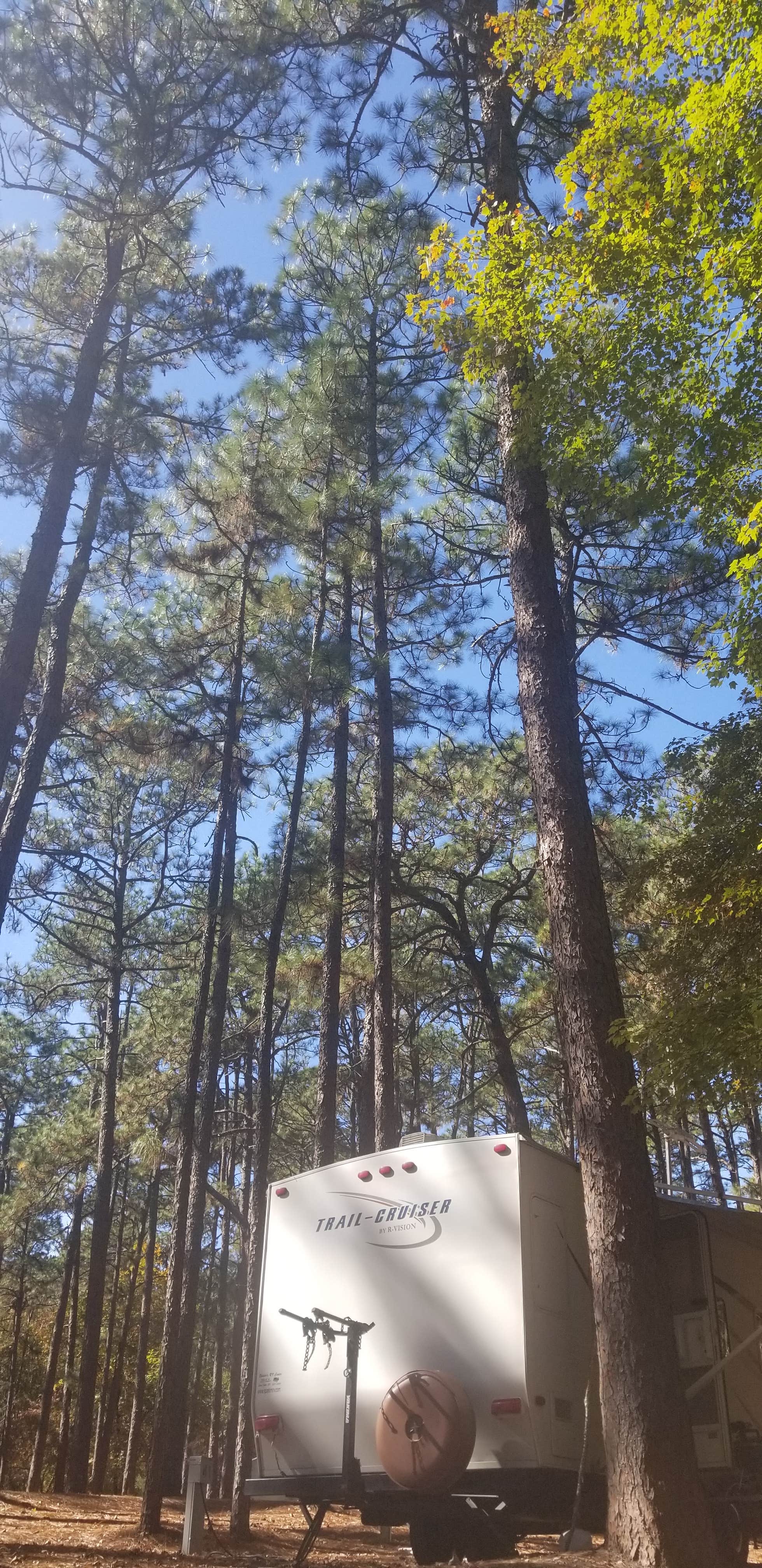 David D.'s photo at Sesquicentennial State Park Campground near Pomaria, SC