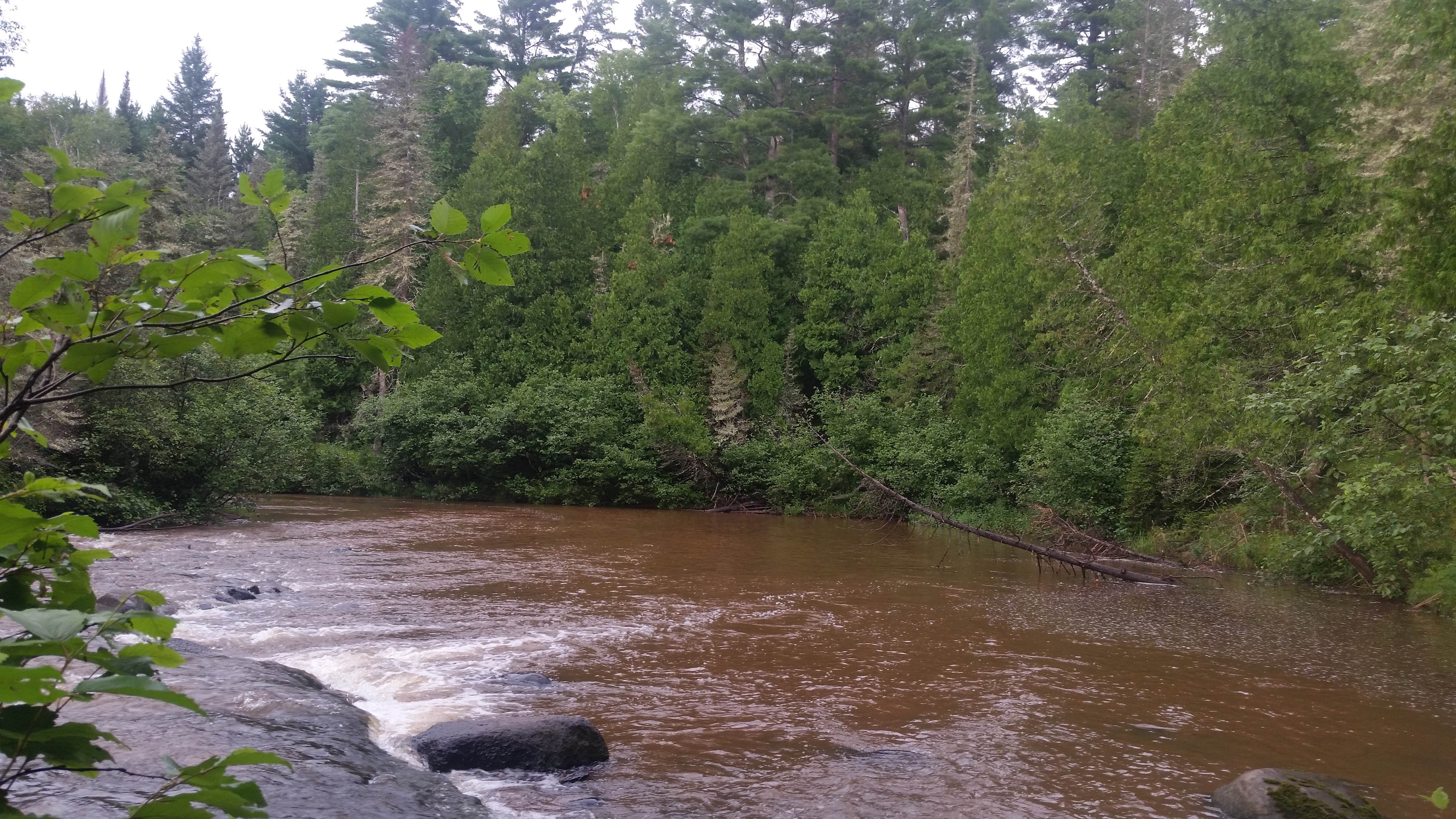 Camper submitted image from Sparrow Rapids Campground - 5