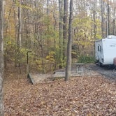 Review photo of Andrew Jackson State Park Campground by David D., November 19, 2021