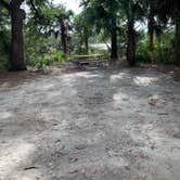 Review photo of Edisto Beach State Park Campground by kcki M., November 19, 2021