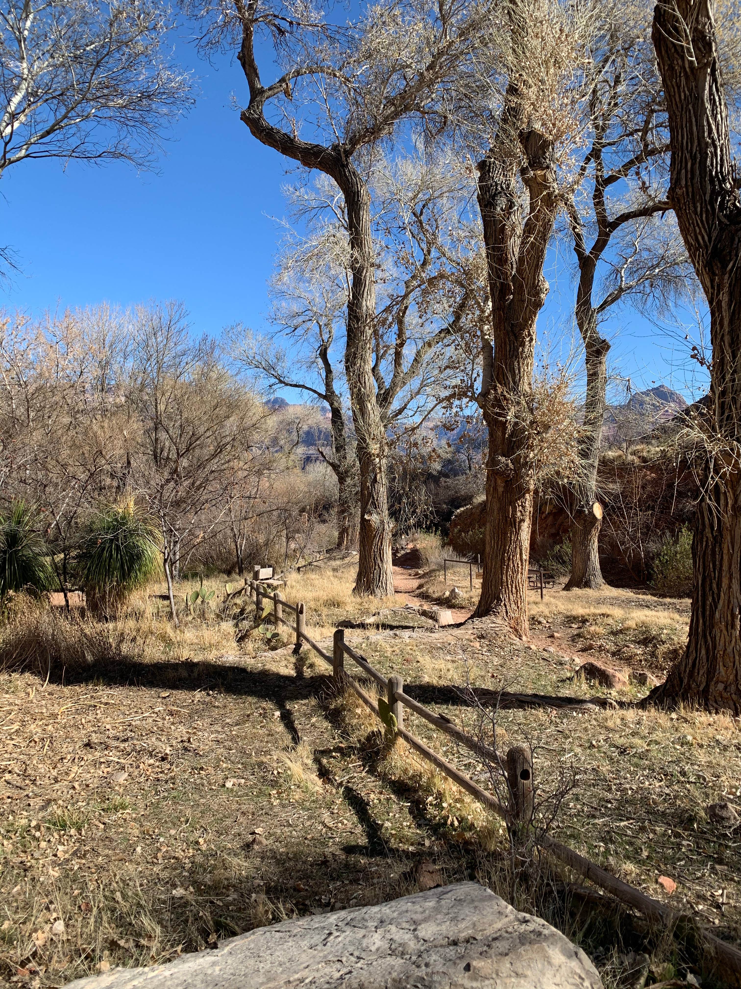 Camper-submitted photo at Havasupai Gardens Campground — Grand Canyon National Park near Tuba City, AZ