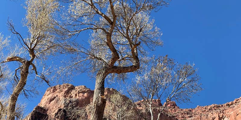 Camper submitted image from Havasupai Gardens Campground — Grand Canyon National Park