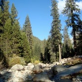 Review photo of Lodgepole Campground — Sequoia National Park by Jennifer D., July 7, 2018