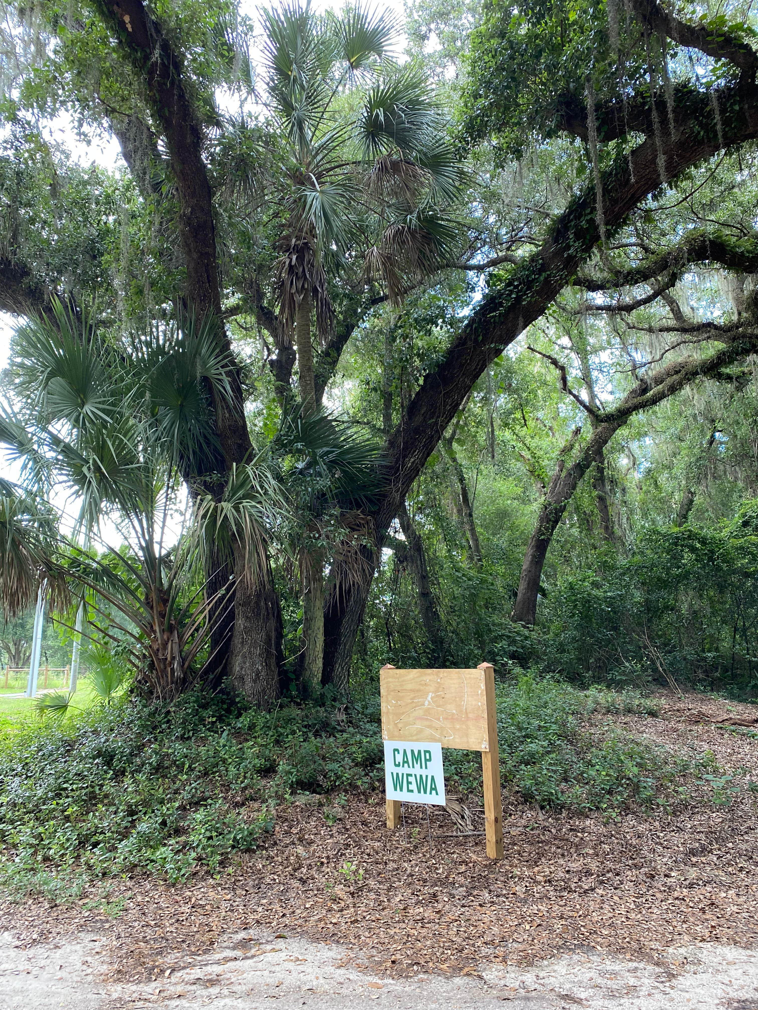 Camper-submitted photo at Camp Wewa near Sorrento, FL
