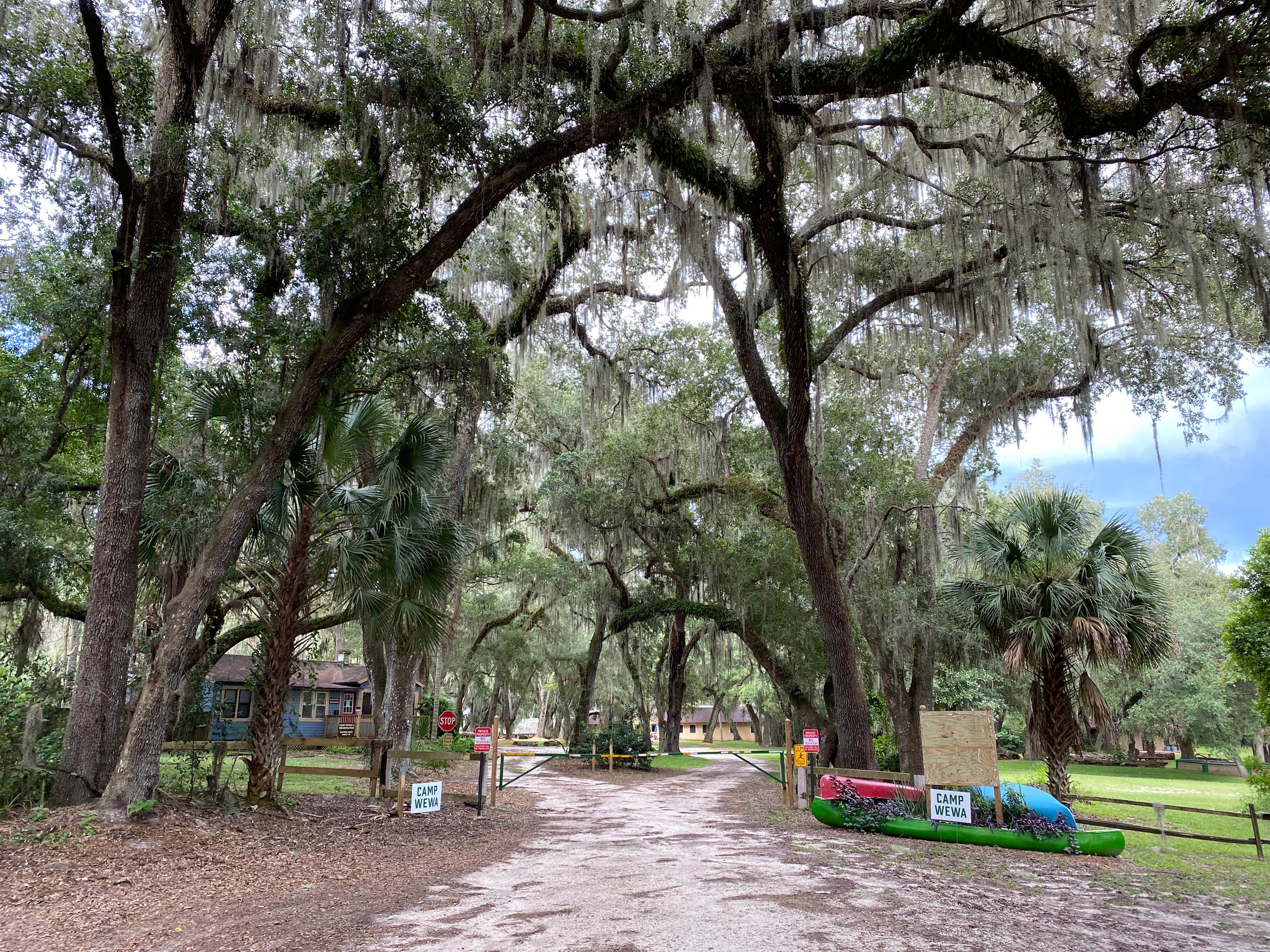 Camper submitted image from Camp Wewa - 2