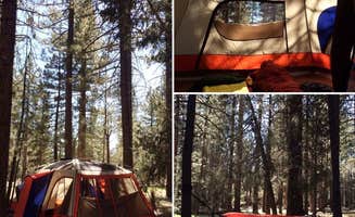 Jennifer D.'s photo at Serrano near Big Bear City, CA