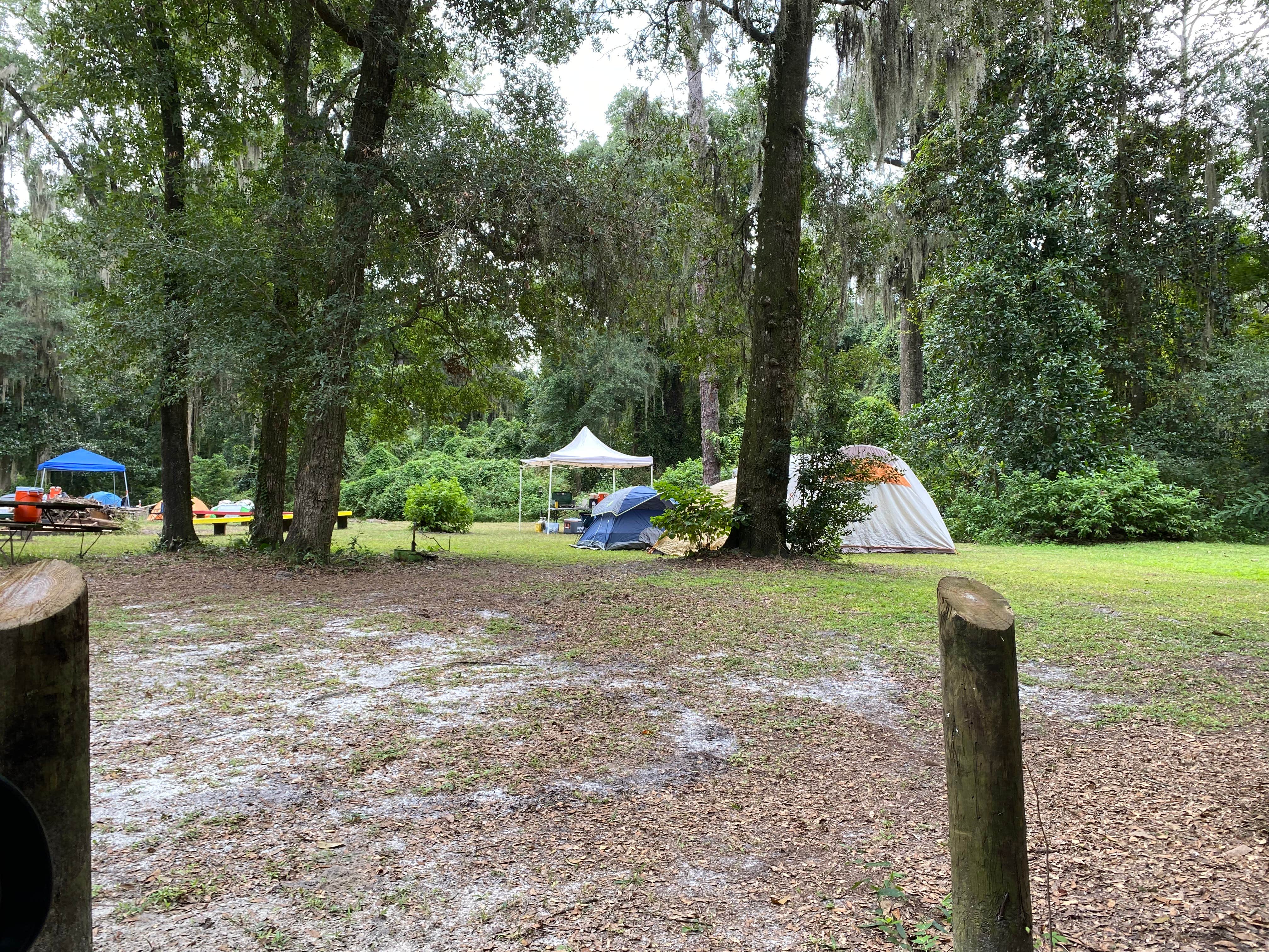 Stuart K.'s photo of tent camping at C Camp Echockotee near Cumberland Island National Seashore