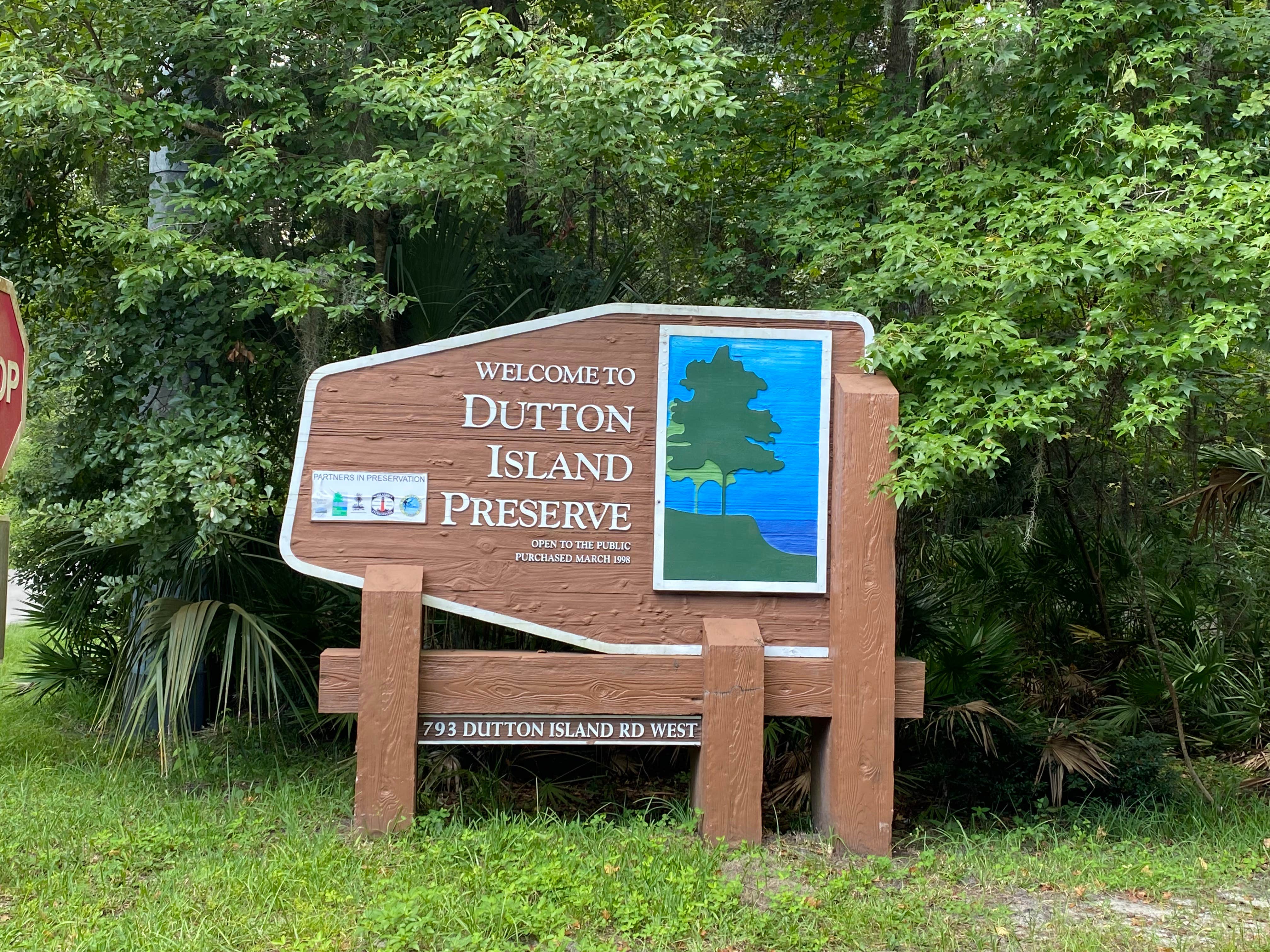 Camper-submitted photo at Dutton Island Preserve near Cumberland Island National Seashore