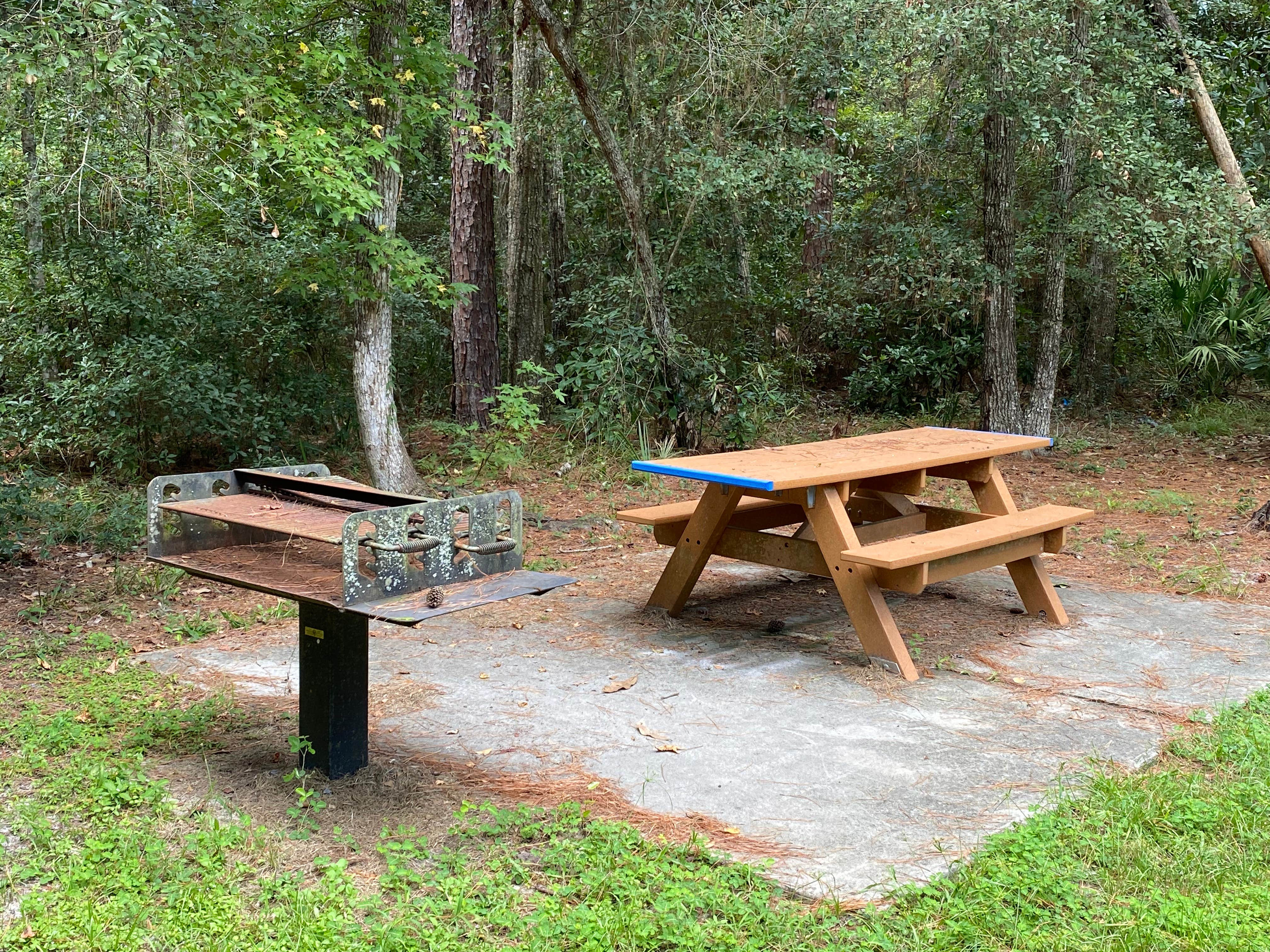 Camper-submitted photo at Dutton Island Preserve near Cumberland Island National Seashore