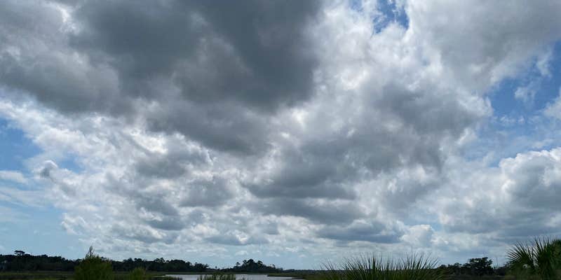 Camper submitted image from Dutton Island Preserve