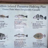 Review photo of Dutton Island Preserve  by Stuart K., November 19, 2021