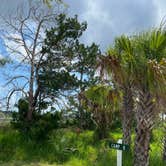 Review photo of Dutton Island Preserve by Stuart K., November 19, 2021