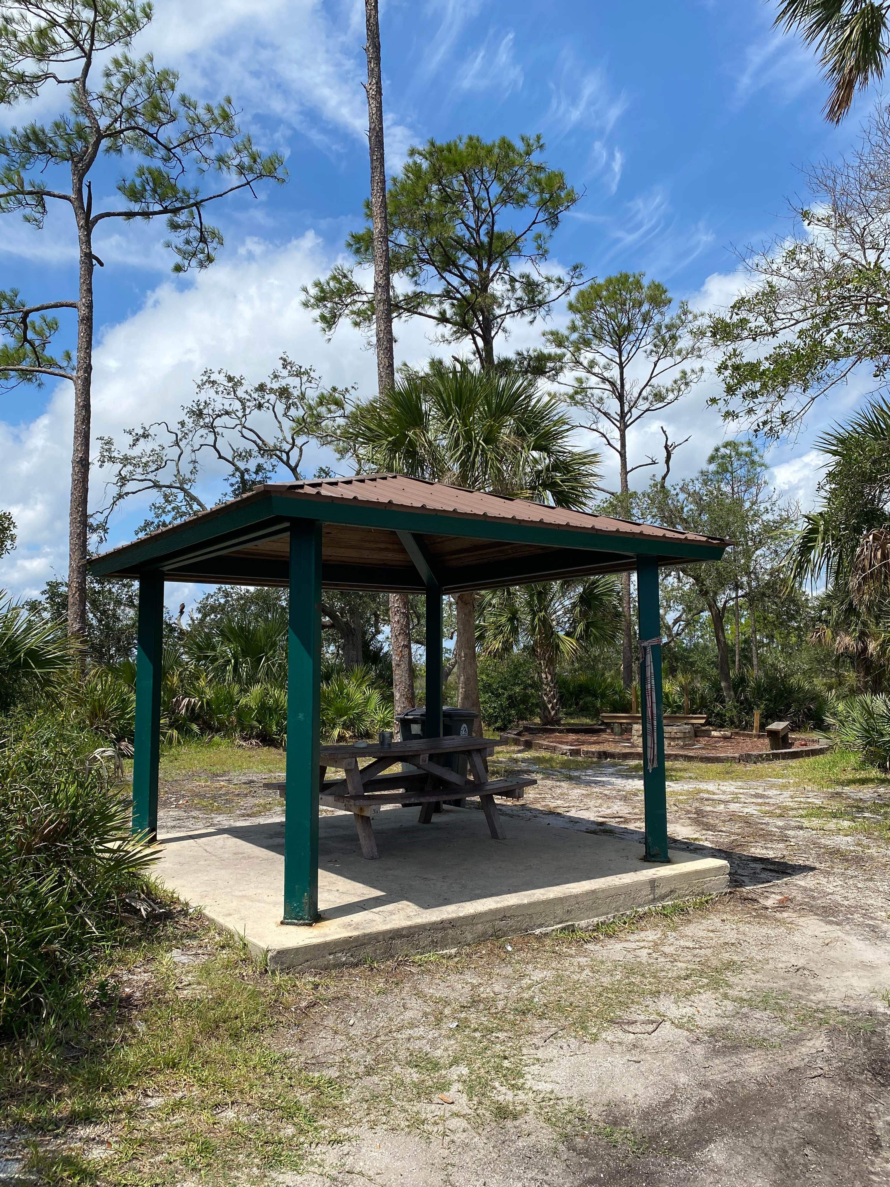 Camper-submitted photo at Dutton Island Preserve near Cumberland Island National Seashore