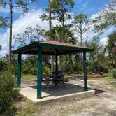 Review photo of Dutton Island Preserve by Stuart K., November 19, 2021