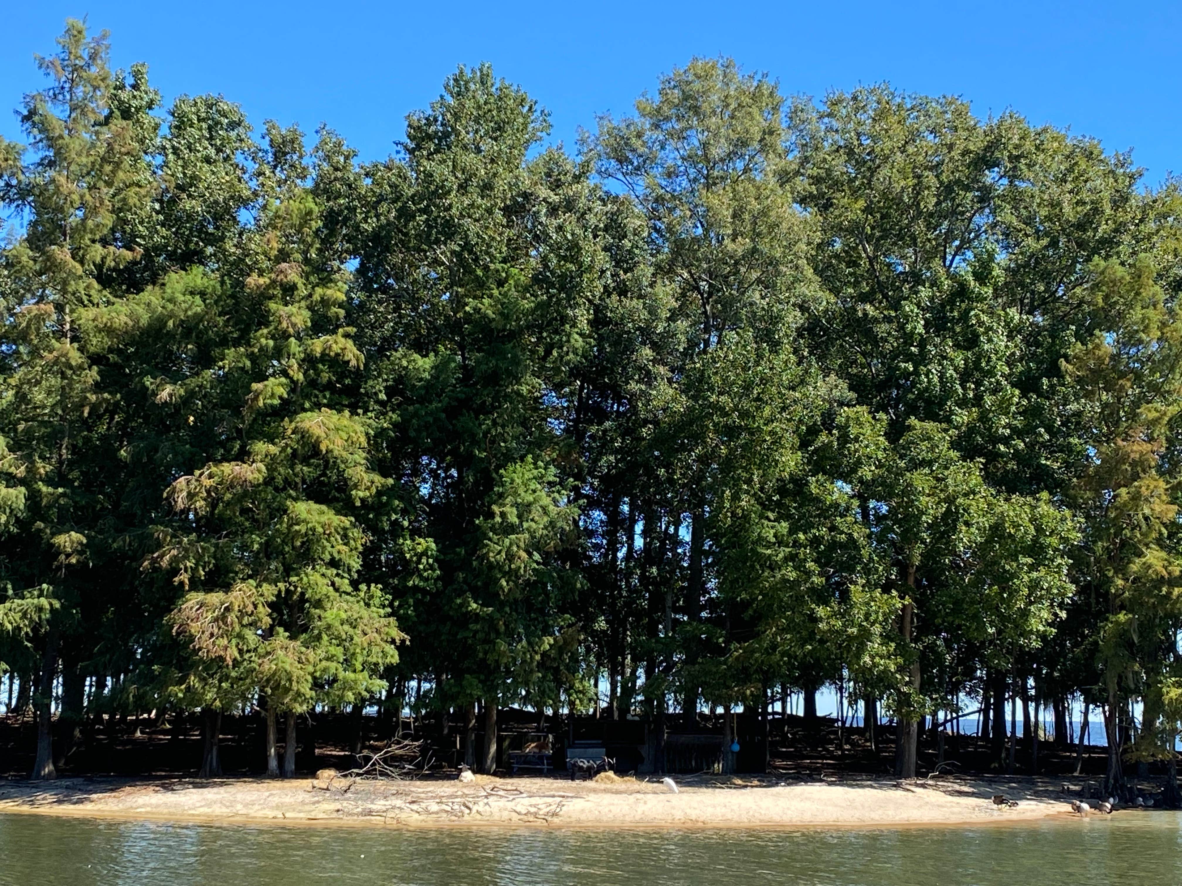 Camper-submitted photo at Lakeside Marina & Resort near Eutawville, SC