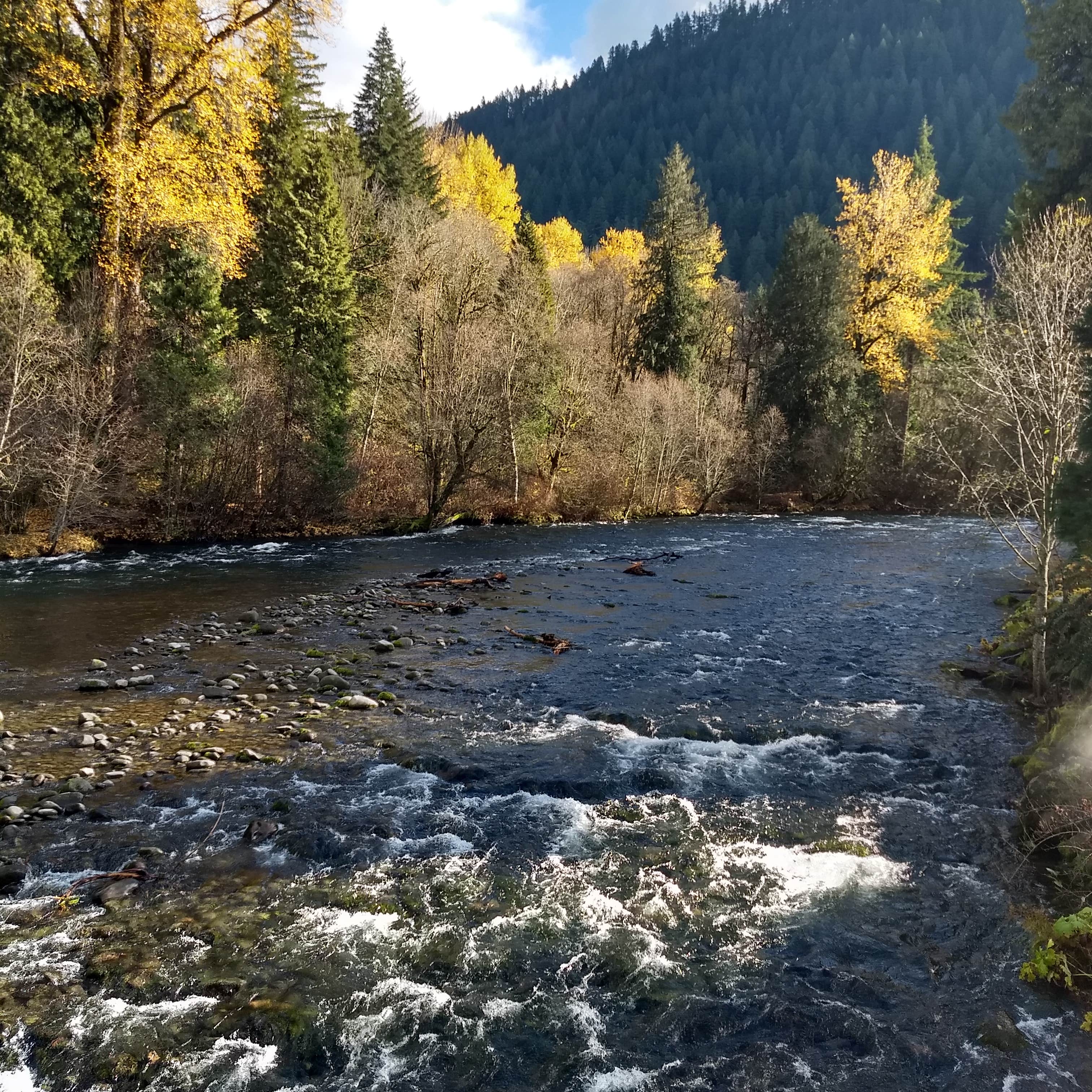 Belknap Hot Springs Lodge and Gardens Camping | Willamette National ...