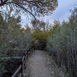 The pathway leading from the Gila loop to where the showers are.