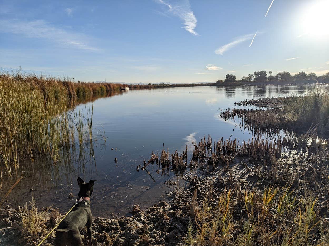 Colby F.'s photo of camping with pets at Gila Campground — Roper Lake State Park near Morenci, AZ