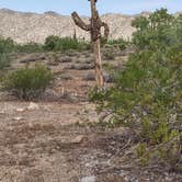 Review photo of White Tank Mountain Regional Park by Randall Z., November 19, 2021