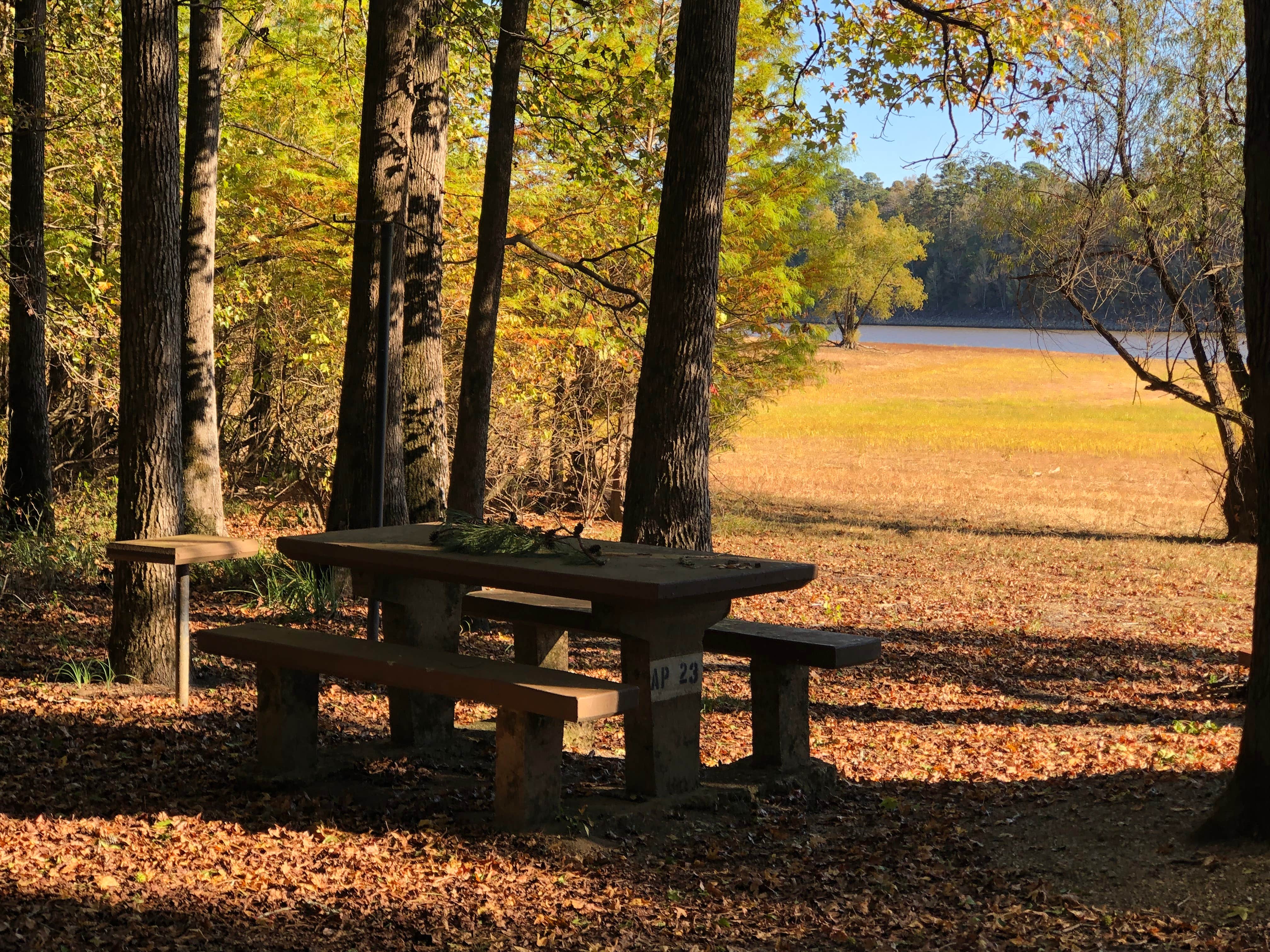 Camper submitted image from Arrowhead Point — Lake Greeson - 4