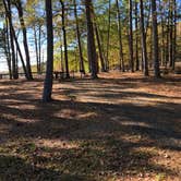 Review photo of Arrowhead Point — Lake Greeson by N I., November 19, 2021