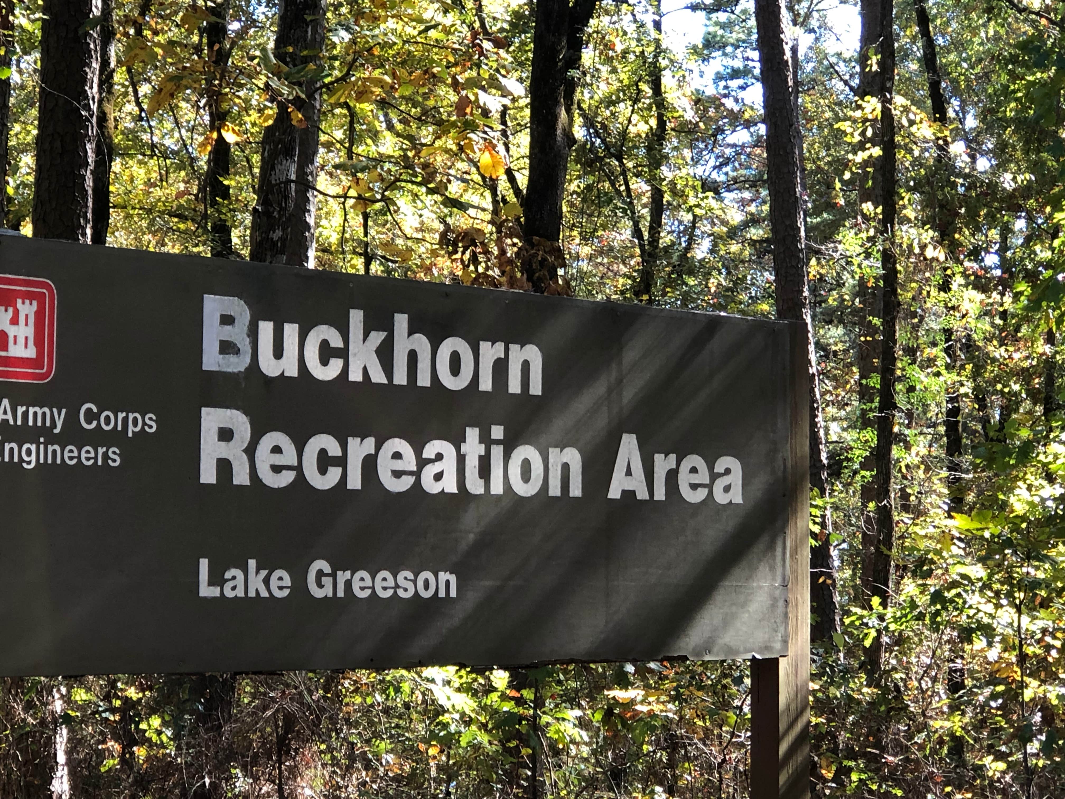 Camper-submitted photo at Buckhorn near Murfreesboro, AR