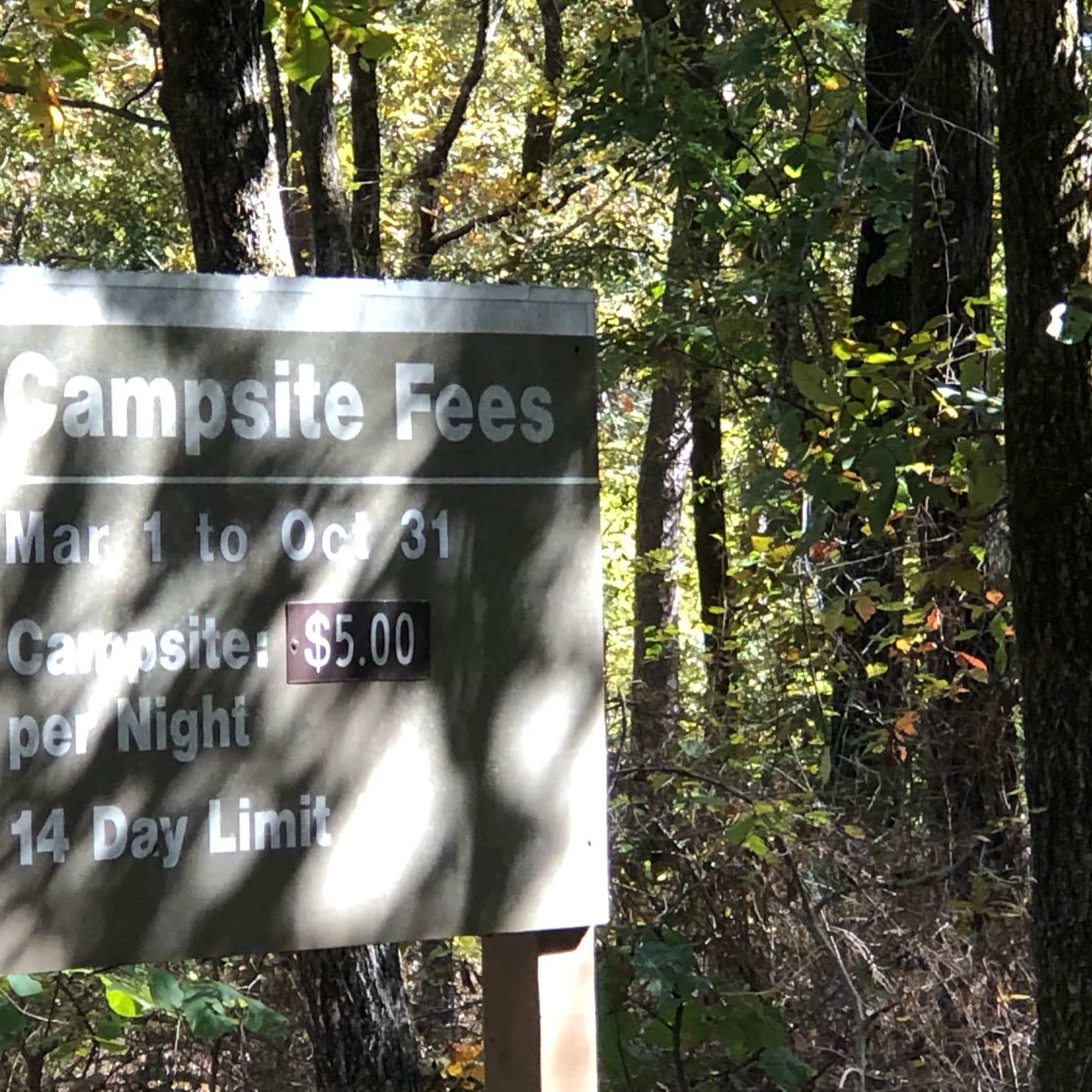 Buckhorn Camping Murfreesboro, AR