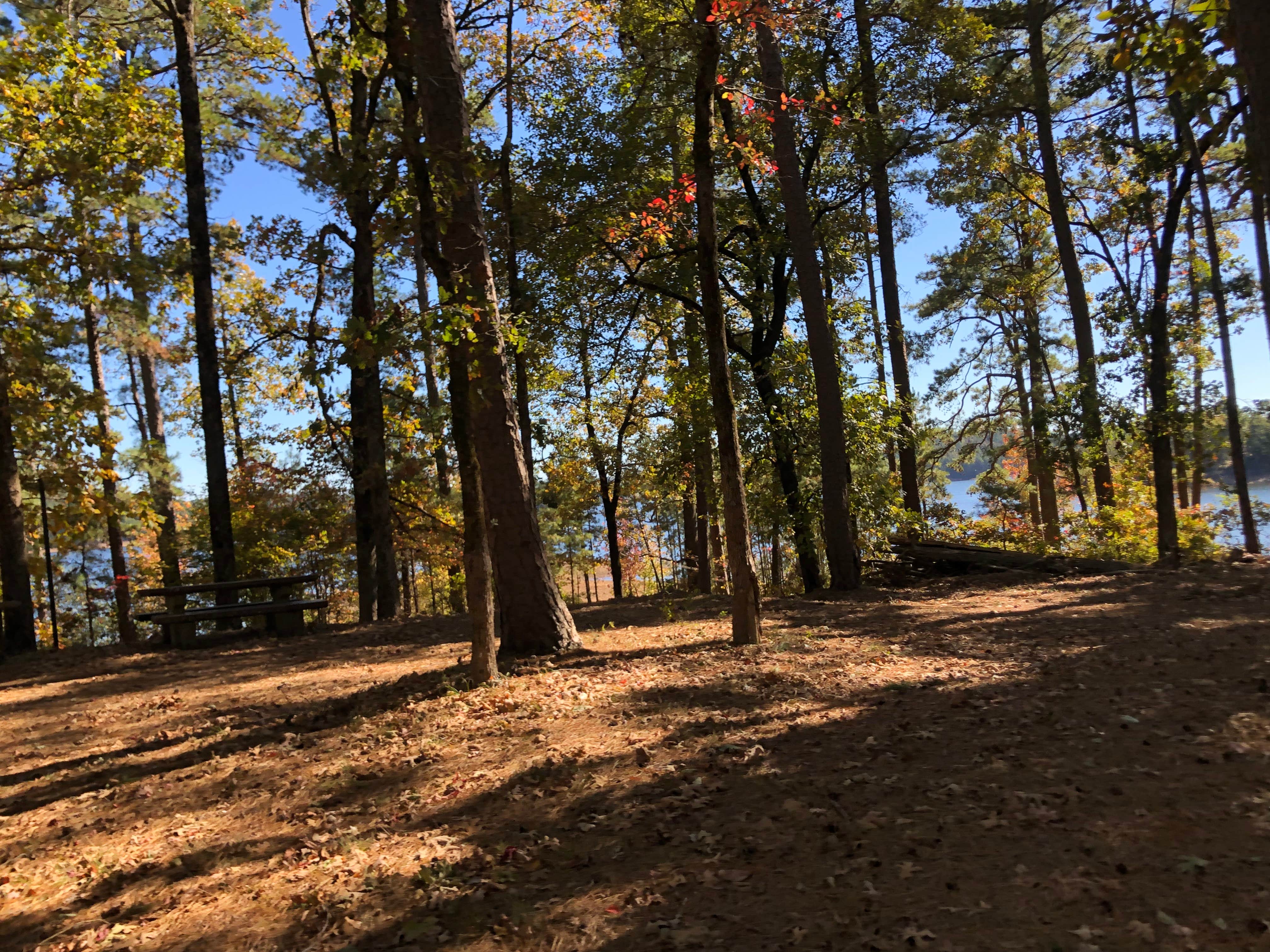 Camper-submitted photo at Buckhorn near Murfreesboro, AR