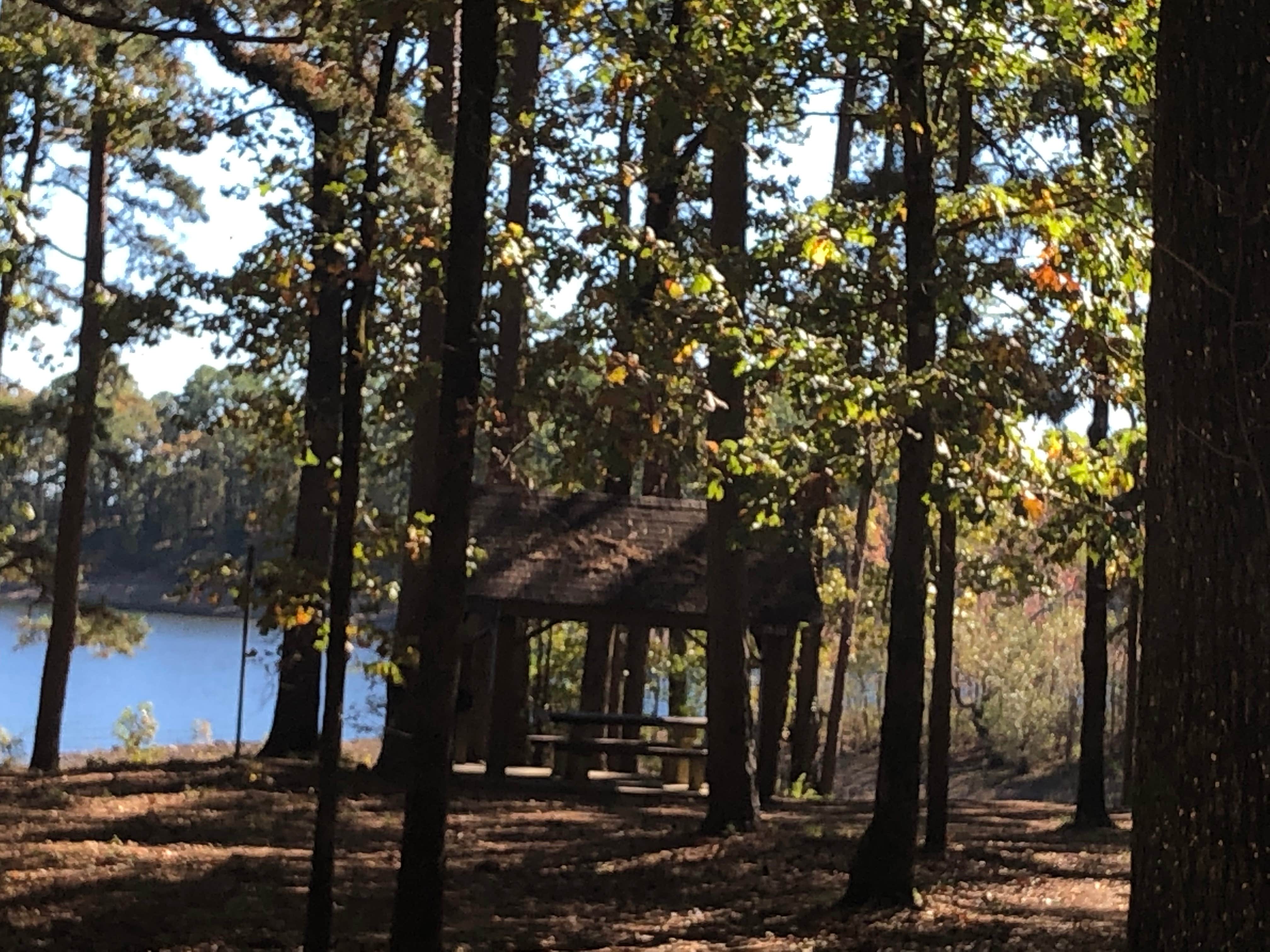Camper-submitted photo at Buckhorn near Murfreesboro, AR