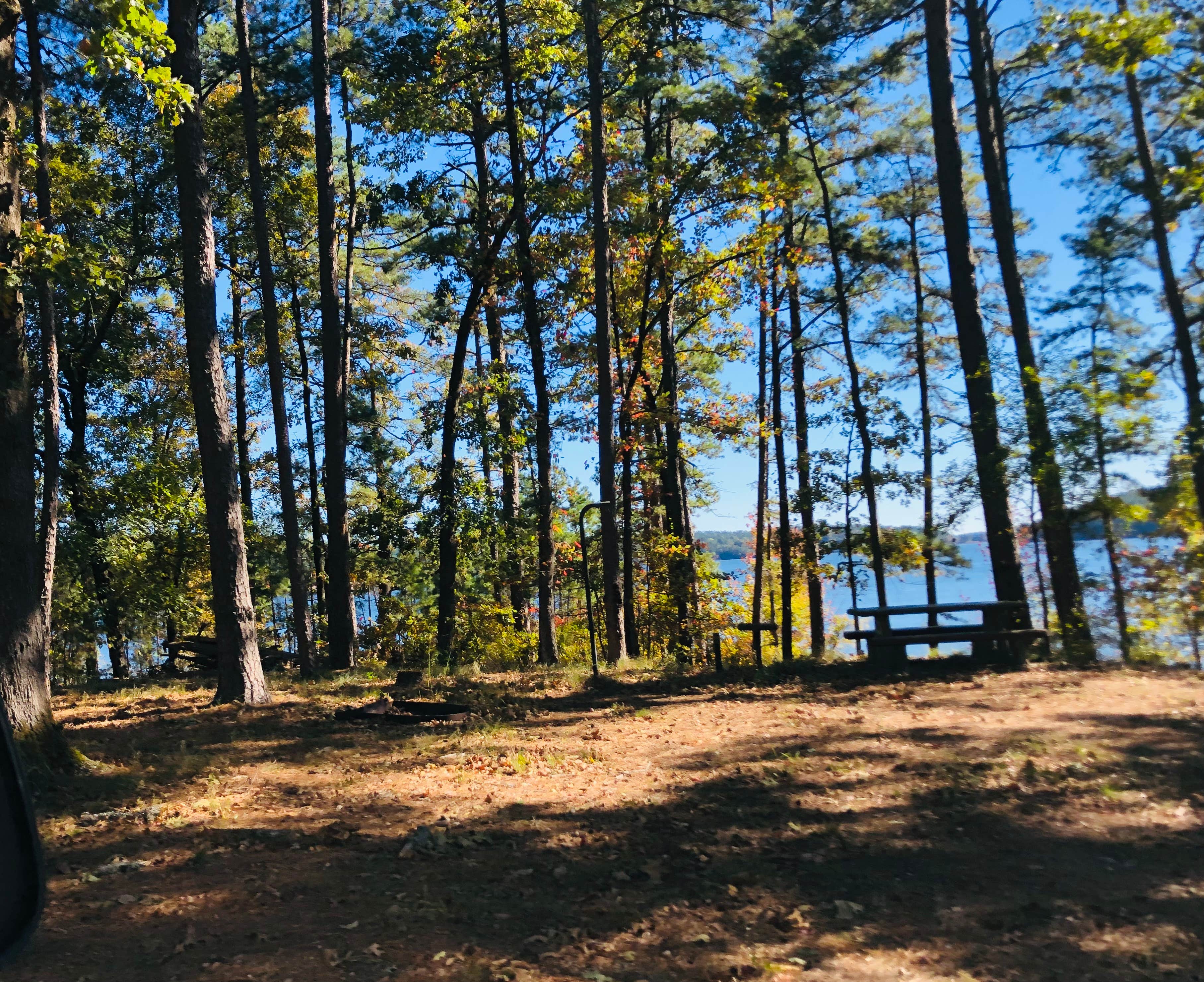 Camper-submitted photo at Buckhorn near Murfreesboro, AR