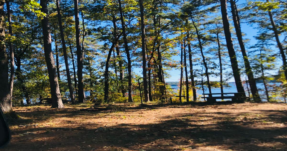 Buckhorn Camping Murfreesboro, AR