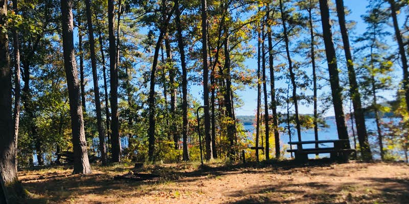 Camper submitted image from Buckhorn